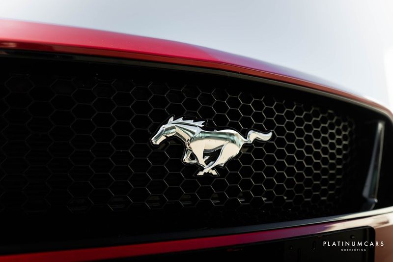 Ford Mustang bild 15