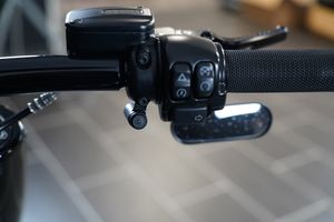 Harley-Davidson Fat Boy bild 19