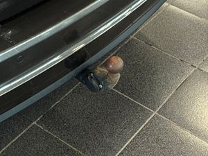 Seat Alhambra bild 17