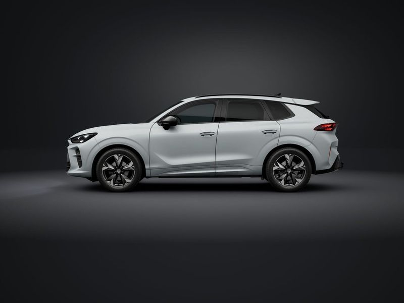 Cupra Terramar bild 2
