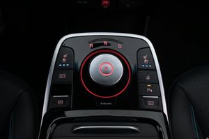 Kia e-Niro bild 21