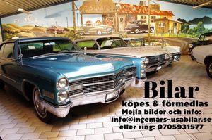 Ford Thunderbird bild 22