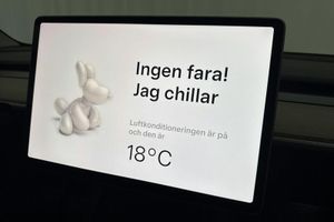 Tesla Model Y bild 22