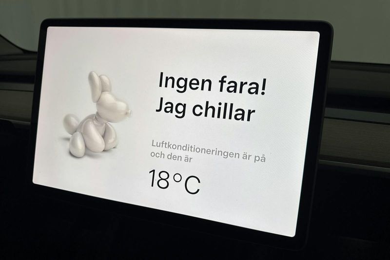 Tesla Model Y bild 22