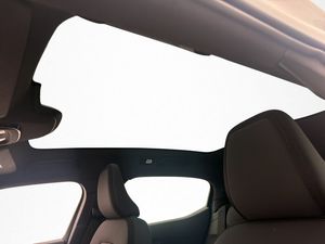 Polestar 2 bild 14