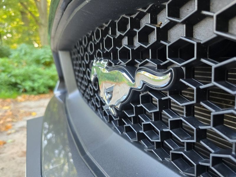 Ford Mustang bild 14