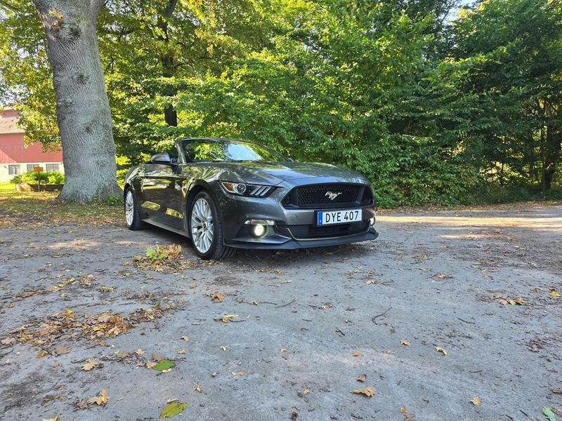 Ford Mustang bild 8
