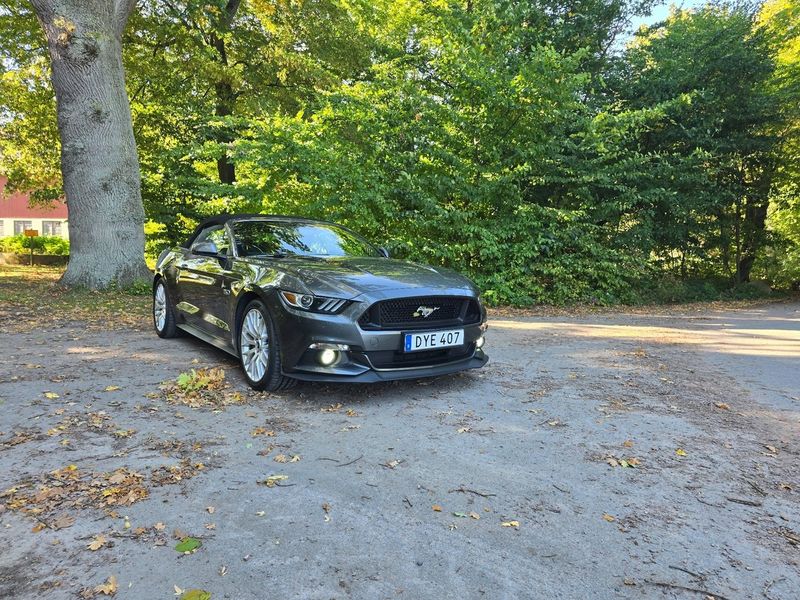 Ford Mustang bild 3