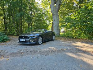 Ford Mustang bild 13