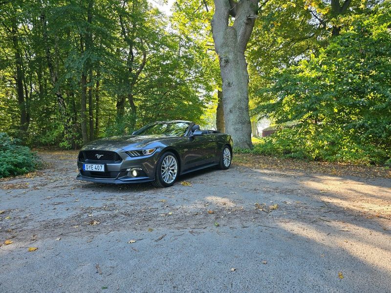Ford Mustang bild 13