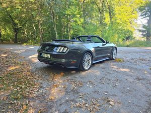 Ford Mustang bild 10
