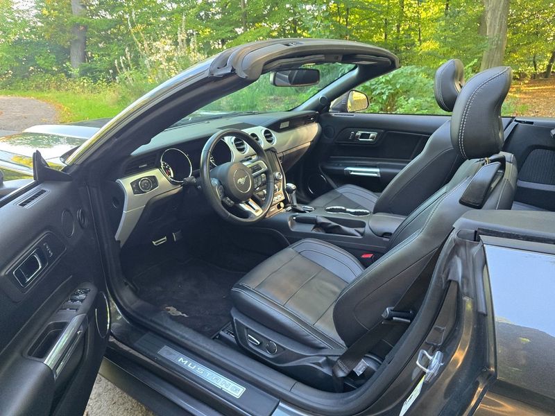 Ford Mustang bild 17
