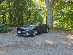 Ford Mustang bild 6