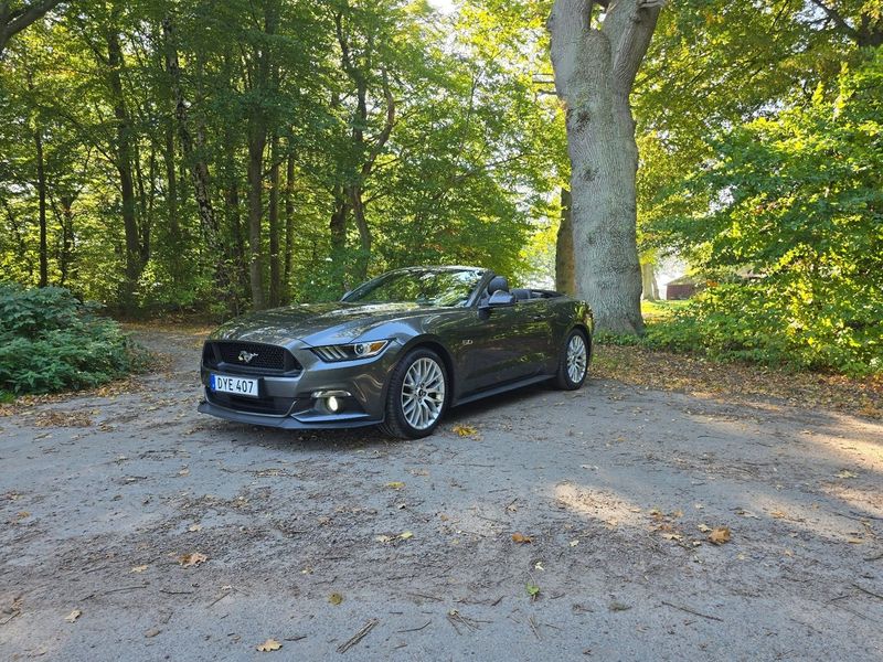 Ford Mustang bild 6