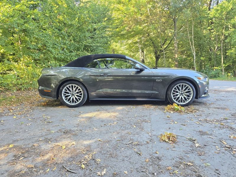 Ford Mustang bild 4