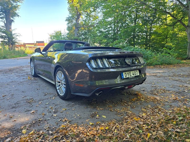 Ford Mustang bild 12