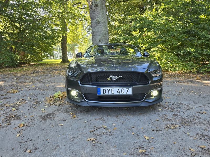 Ford Mustang bild 7
