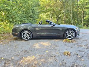 Ford Mustang bild 9