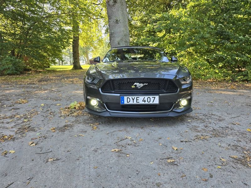 Ford Mustang bild 2