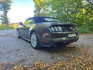 Ford Mustang bild 5