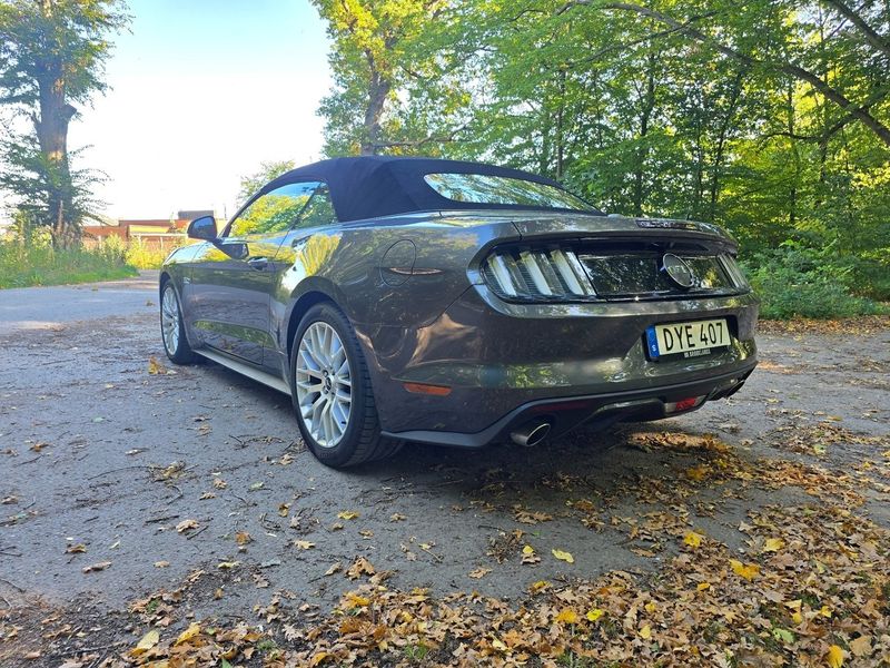 Ford Mustang bild 5