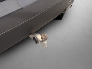 BMW iX bild 6