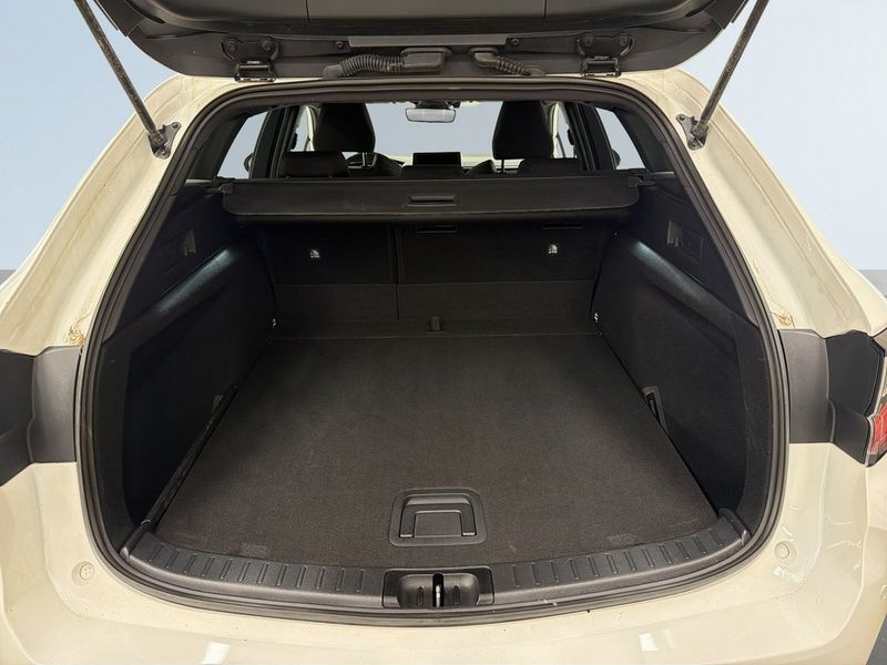 Suzuki Swace bild 12