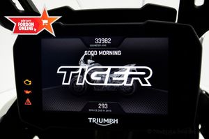 Triumph Tiger bild 10