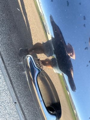 Volvo V70 bild 18