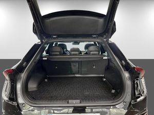 Kia EV6 bild 7