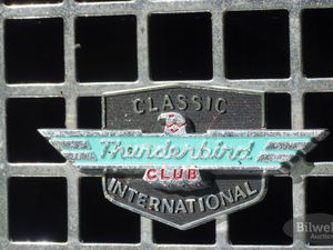 Ford Thunderbird bild 30