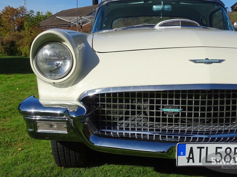 Ford Thunderbird bild 28