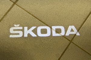 Skoda Karoq bild 17