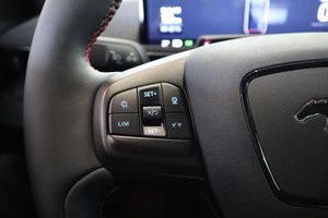 Ford Mustang Mach-E bild 14