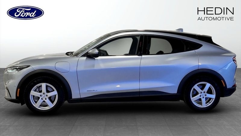 Ford Mustang Mach-E bild 6