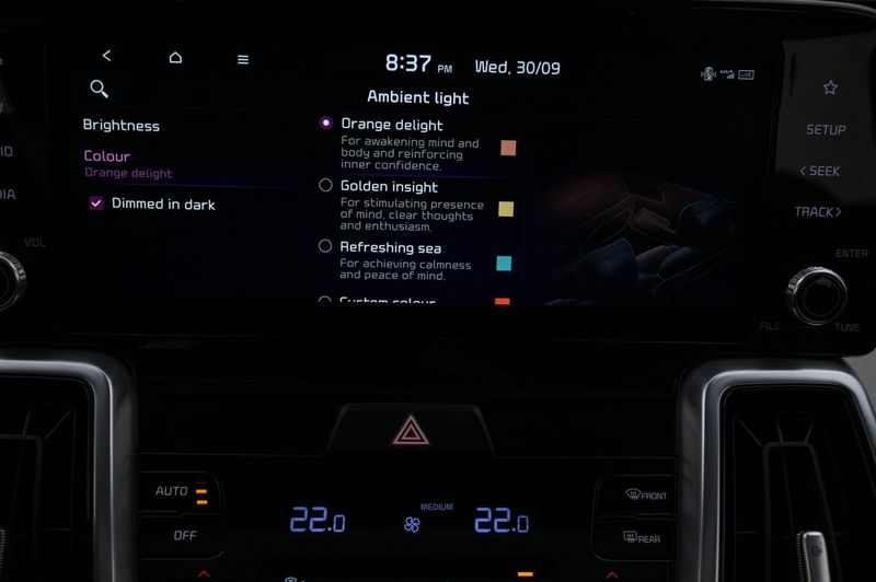 Kia Sorento bild 19