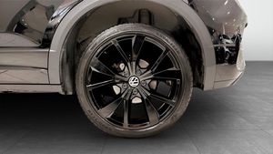 Volkswagen T-Roc bild 6
