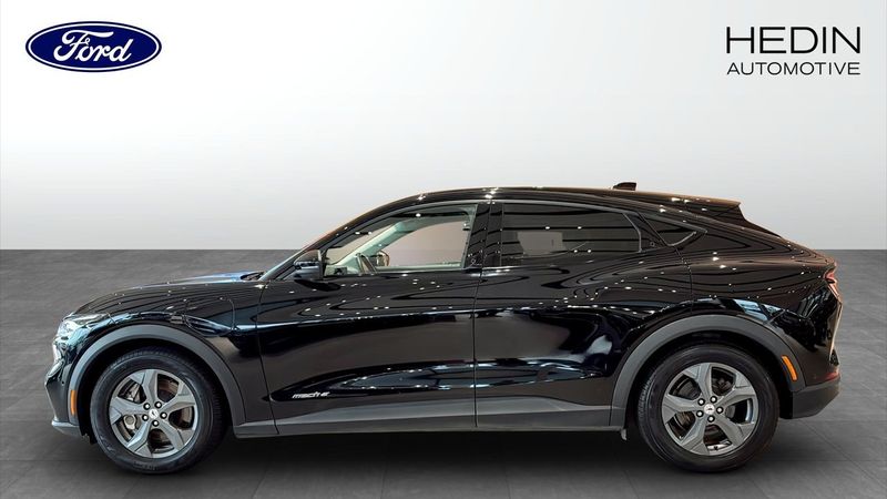 Ford Mustang Mach-E bild 6