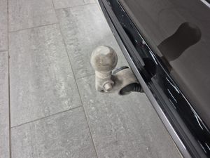 Volvo V60 bild 11