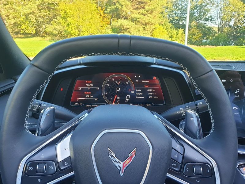 Chevrolet Corvette bild 15