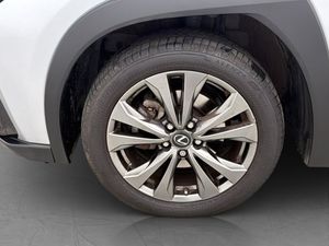 Lexus UX bild 27