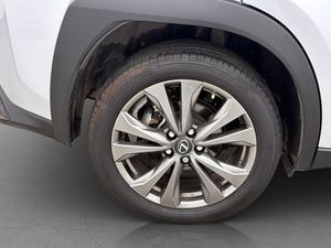 Lexus UX bild 29