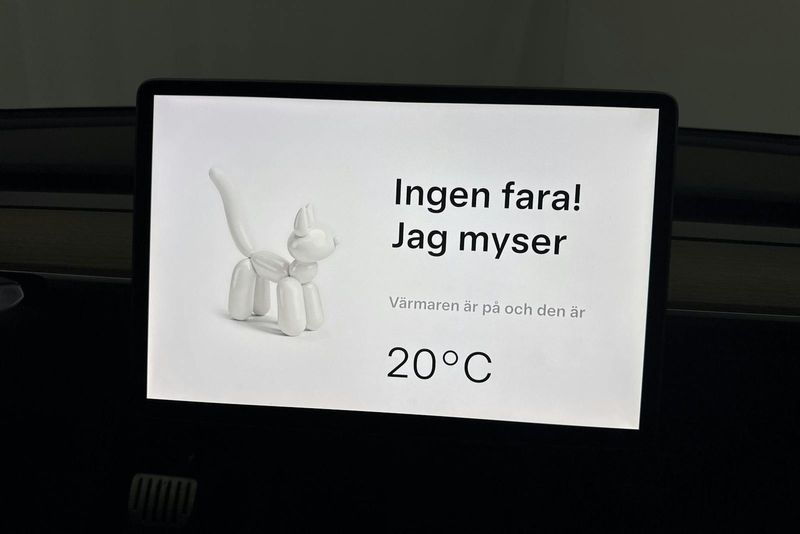 Tesla Model Y bild 18