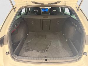 Skoda Octavia bild 13