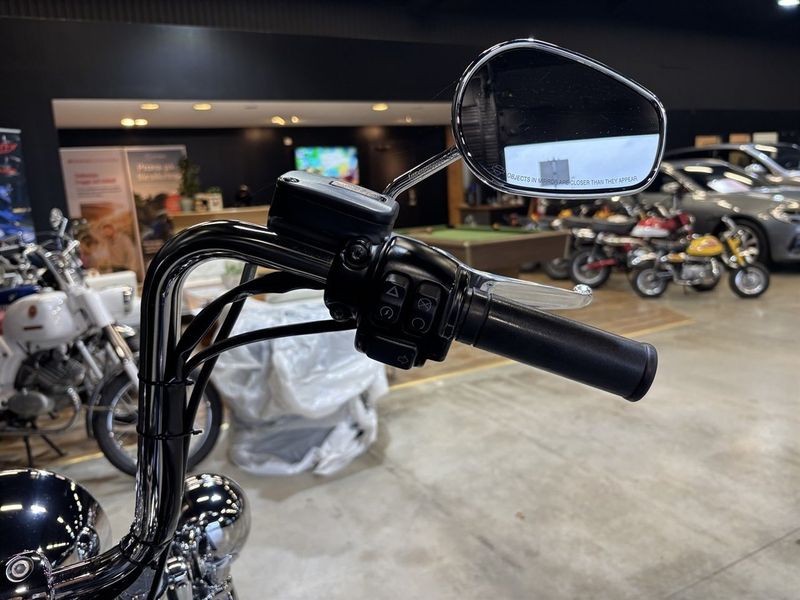 Harley-Davidson Softail bild 13