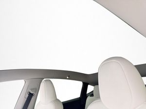 Tesla Model Y bild 19