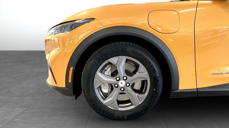 Ford Mustang Mach-E bild 5