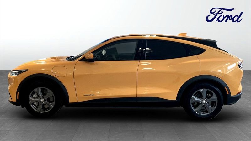 Ford Mustang Mach-E bild 6