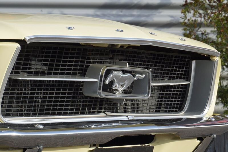 Ford Mustang bild 25