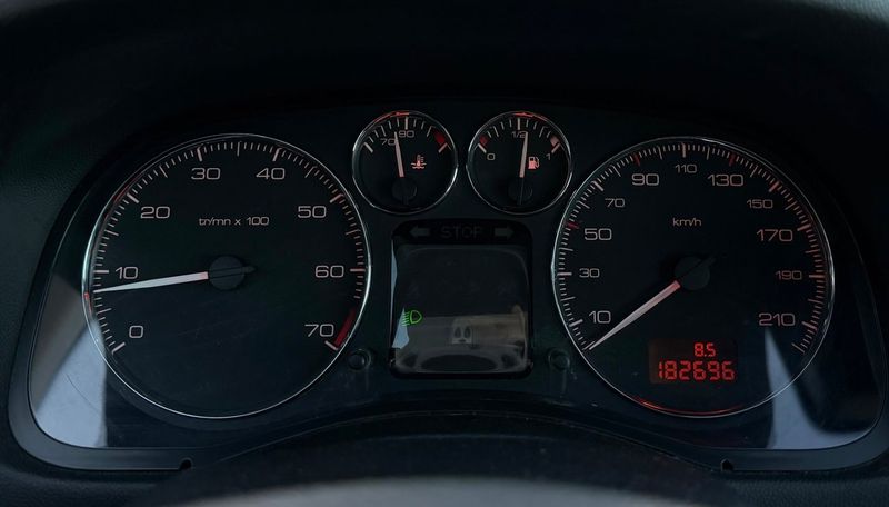 Peugeot 307 bild 11
